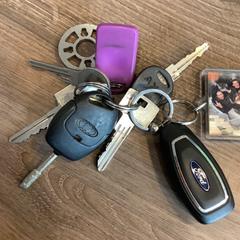 İLost kullanarak Gemeente Amsterdam tarafından bildirildiği gibi Anahtarlar