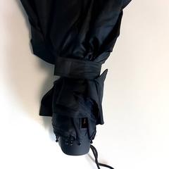 Umbrella, as reported by Arriva Limburg Zuid using iLost