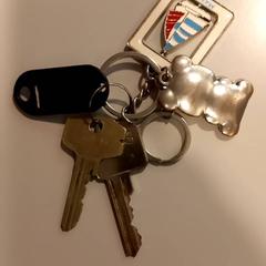 Klucz, zgłoszono przez Arriva Limburg Noord przy użyciu iLost