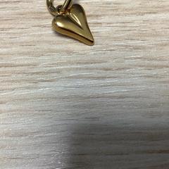 Pendente, segundo informou Diakonessenhuis Utrecht usando iLost