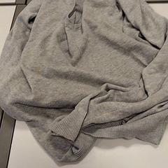 Jersei, segons ha informat Vrije Universiteit Amsterdam mitjançant iLost