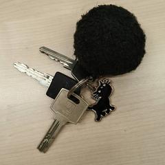 Clau Siepie sleutelhanger, segons ha informat IKEA Utrecht mitjançant iLost
