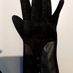 Hansker Zwart, som rapportert av Padualaan 97 ved bruk av iLost