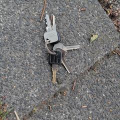 Keys, as reported to iLost