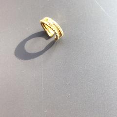 Belarritakoa, gisa salatu by Van Gogh Museum iLost erabiliz