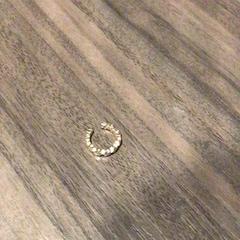 İLost kullanarak Van der Valk Hotel Zwolle tarafından bildirildiği gibi Küpe