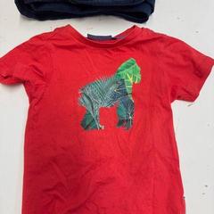 Camisa kind rood met opdruk, segons ha informat Avonturenpark Hellendoorn mitjançant iLost