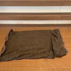 Grijze sjaal, gemeldet von Pathé Arnhem über iLost