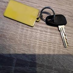 Key, as reported by EBS Tramplein using iLost