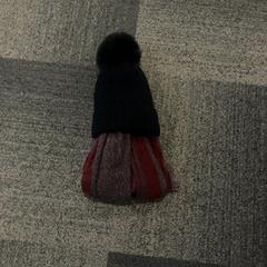 Beanie & Šál Wol, ako bolo nahlásené Jaarbeurs pomocou iLost