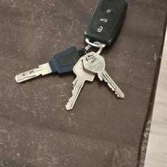 Sleutelbos met autosleutel, iLost에 보고됨
