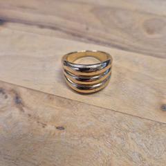 Anillo goudkleurig, ha sido reportado por Gemeente Wageningen con iLost