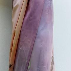 傘 - paars がiLostで Centraal magazijn によって報告されました