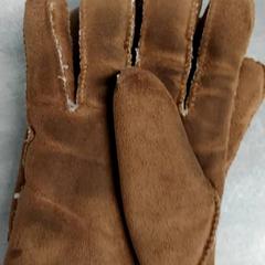 Guants Bruin, segons ha informat Arriva Friesland / Groningen mitjançant iLost