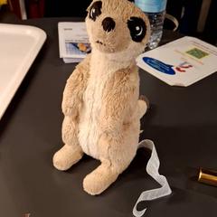 İLost kullanarak IKEA Paris - Plaisir tarafından bildirildiği gibi Sevimli tokat