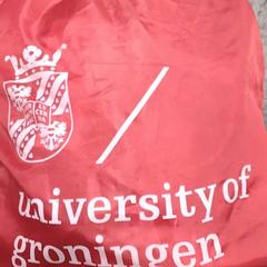 Rugzakje Rood University Of Groningen, as reported by Arriva Friesland / Groningen using iLost