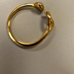 Anel, segundo informou Vrije Universiteit Amsterdam usando iLost