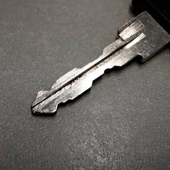 Nøkkel Zilver, som rapportert av Arriva Friesland / Groningen ved bruk av iLost