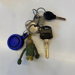 Sleutelbos an iLost gemeldet
