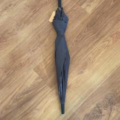 Umbrella, as reported by GVB using iLost