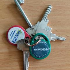 sleutelbos, jak zgłoszono do iLost