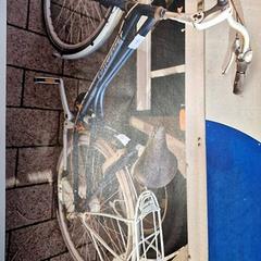 Damenrad, gemeldet von Gemeente Roermond über iLost