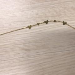 Polsera, segons ha informat Gemeente Arnhem mitjançant iLost