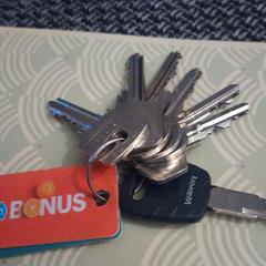 sleutelbos, segons s'ha informat a iLost