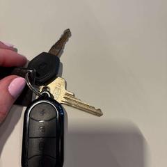Keys 2 sleutels en gps tracker, as reported by Gemeente Rheden using iLost