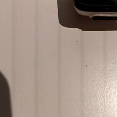 Computer per ciclismo, come riportato da De Efteling utilizzando iLost