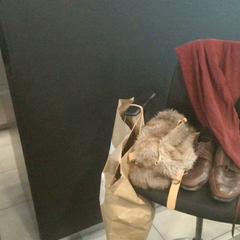 Roba, segons ha informat MEININGER Hotel Vienna Downtown Franz mitjançant iLost