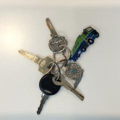 キーホルダー がiLostで Gemeente Weert によって報告されました