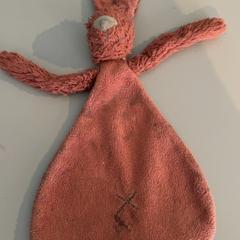 Knuffeldoek, zoals gemeld door Burgers' Zoo met iLost