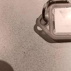 Clau, segons ha informat De Efteling mitjançant iLost