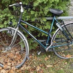 Groene fiets, jak bylo nahlášeno na iLost