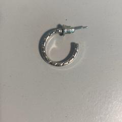Earring Zilver rond strepen, as reported by Burgers' Zoo using iLost