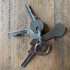 Sleutelbos an iLost gemeldet