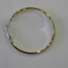 Arracada gold, segons ha informat Walibi Holland mitjançant iLost