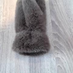 Vante Bruin bont, rapporterat av EBS Tramplein med iLost