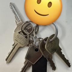 Sleutelbos Keys, amint azt az iLostnak jelentették.