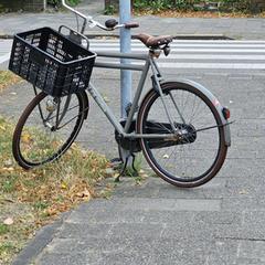 Fiets, amint azt az iLostnak jelentették.