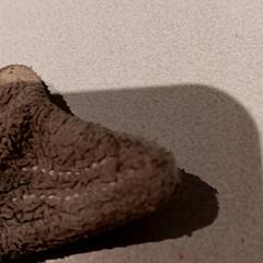 İLost kullanarak De Efteling tarafından bildirildiği gibi Sevimli tokat