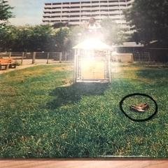 Lp, a été signalé par RRReis Veluwe Zuid - Ede utilisant iLost