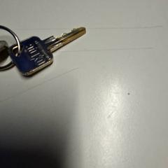 Keys, as reported by St. Antonius Ziekenhuis Nieuwegein using iLost