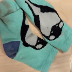 Ponožka, jak nahlášeno IKEA Gent pomocí iLost