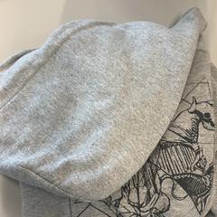 Hoodie, as reported by Heidelberglaan 15 using iLost
