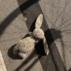 Roze konijnenknuffel، كما تم الإبلاغ عنه عبر iLost