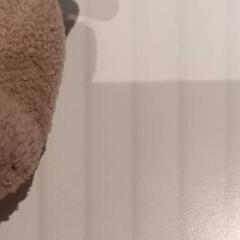 Knuffel, as reported by De Efteling using iLost