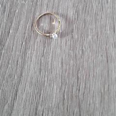 Dzwonić Goudkleurig met pareltje, zgłoszono przez EBS Tramplein przy użyciu iLost