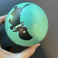 Labda Fiep, amint azt Burgers' Zoo az iLost segítségével jelentette.